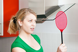 chasing a fly with a fly swatter