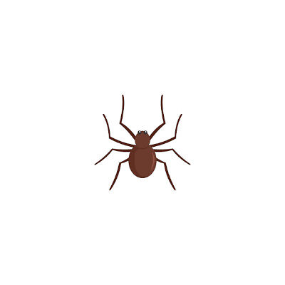 bigstock-Grass-Spider-Icon-Flat-Illust-400400.jpg
